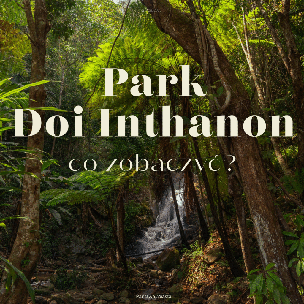 Dziki wodospad ukryty w tropikalnym lesie w górach w parku Doi Inthanon, Tajlandia