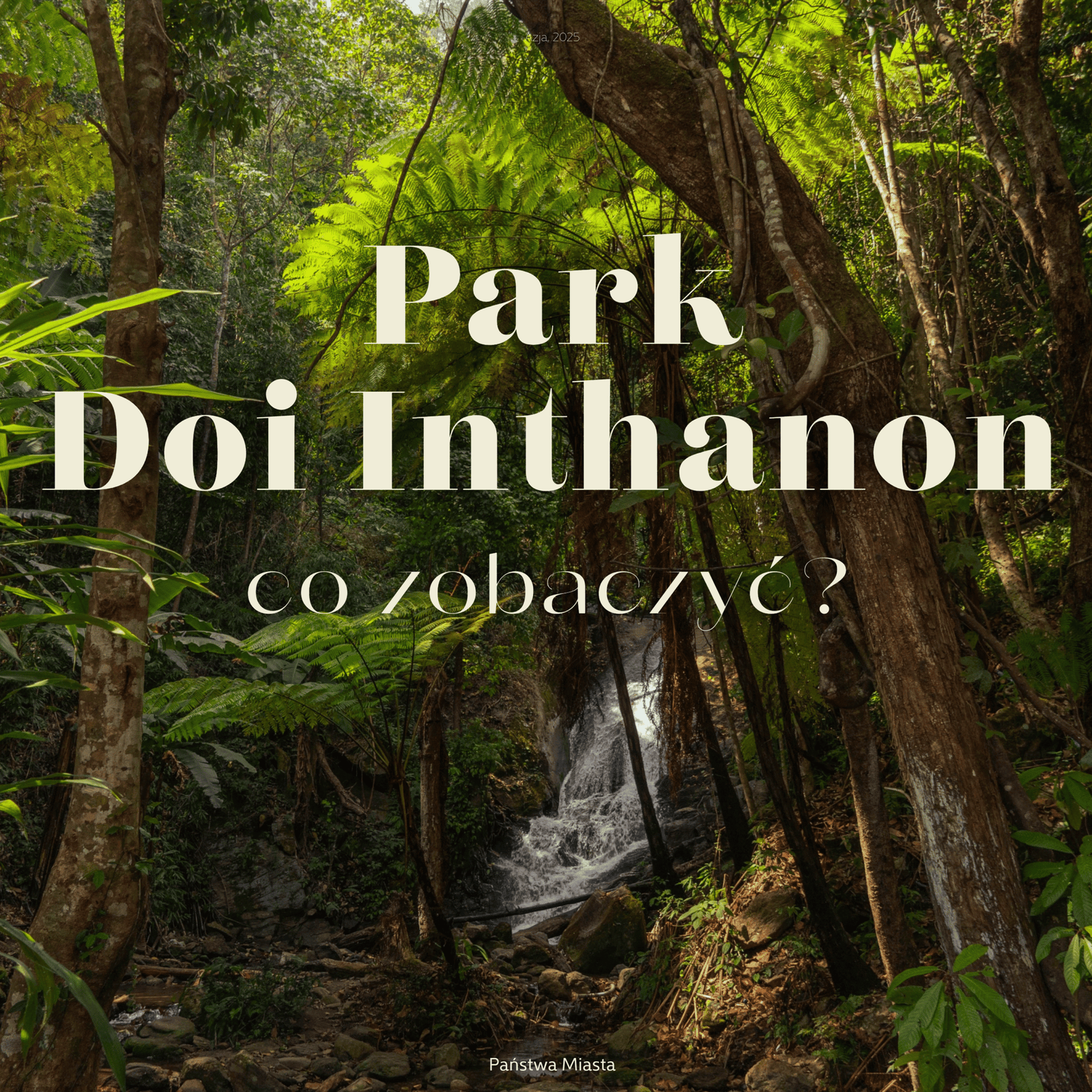 Dziki wodospad ukryty w tropikalnym lesie w górach w parku Doi Inthanon, Tajlandia