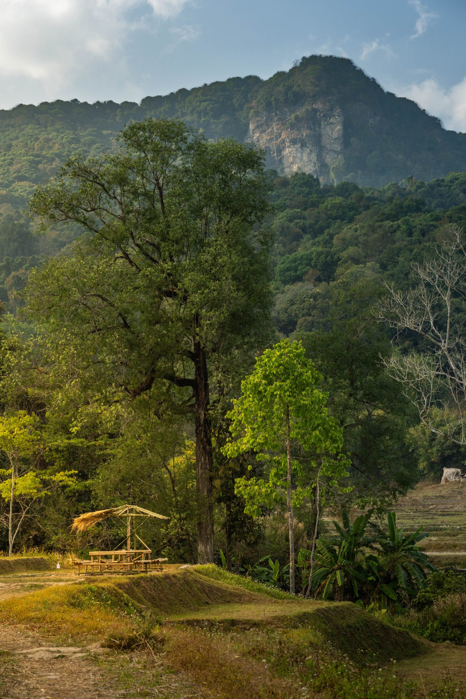 Szczyt Doi Inthanon – najwyższy punkt Tajlandii w Parku Narodowym Doi Inthanon w północnej Tajlandii