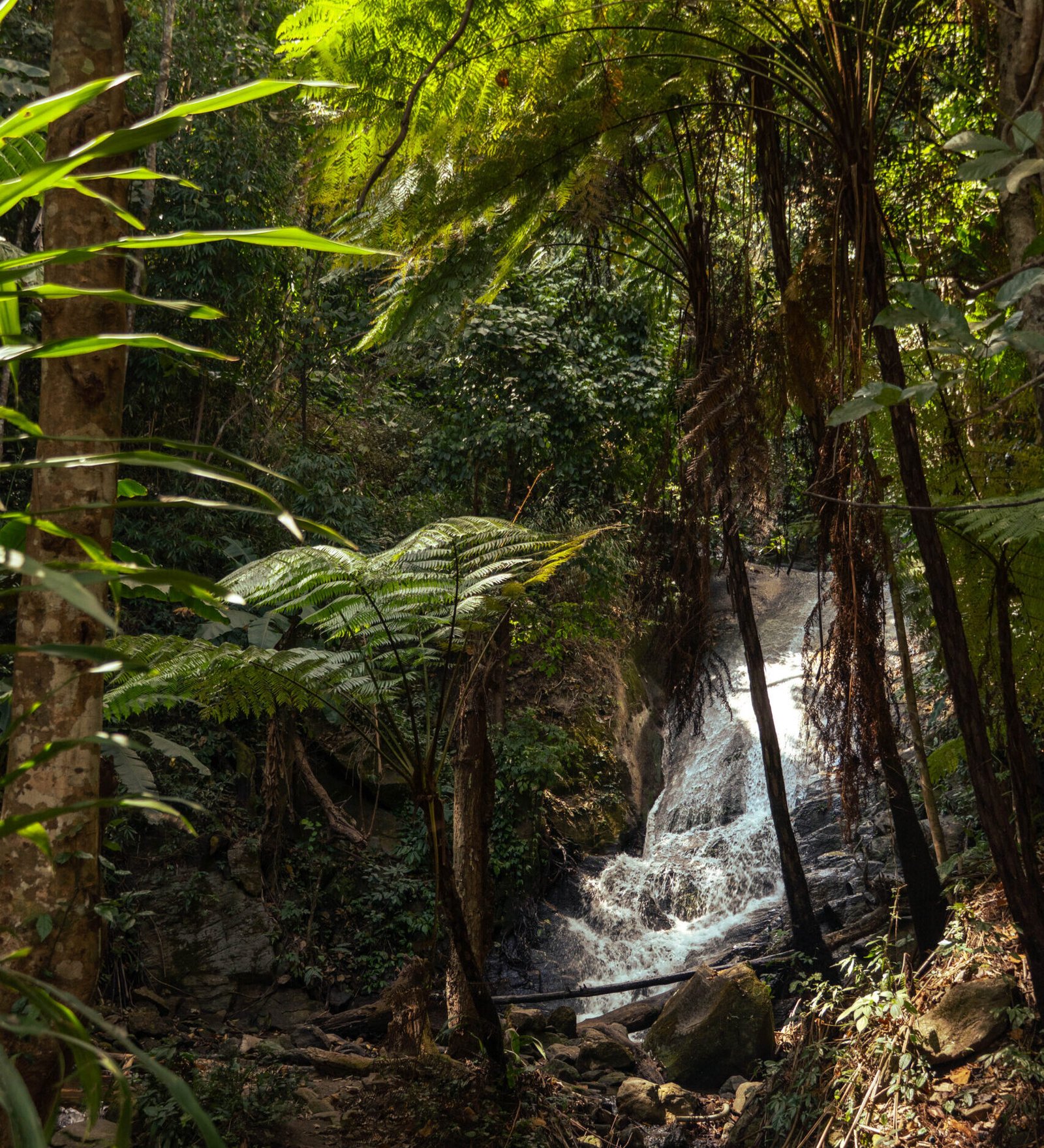 Sirithan Waterfall - dziki wodospad w parku Doi Inthanon Park na północy Tajlandii