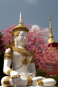Teren świątyni Wat Phan Tao w Chiang Mai